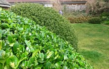 20140319_120508_richtonehdr