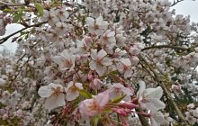 20140331_102825_richtonehdr