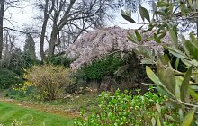 20140331_102911_richtonehdr