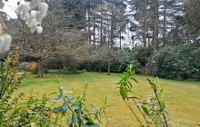 20140331_103156_richtonehdr