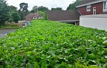 20140603_115133_richtonehdr2