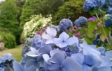 20140728_095051_richtonehdr