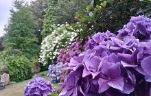 20140728_095130_richtonehdr
