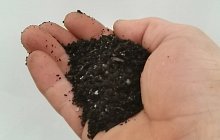 Mulching
